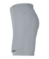 Nike Park III Short Grau F012 - grau