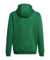 adidas Entrada 22 Hoody | Grün - gruen