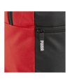 PUMA teamGoal Core Rucksack Rot F03 | - rot