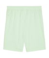 PUMA teamGOAL Short Grün Schwarz F60 - gruen