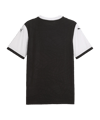 PUMA teamFINAL26 Trikot Schwarz F03 - schwarz