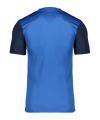 Nike Trophy V Trikot Blau F463 - dunkelblau