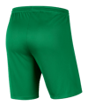 Nike Park III Short Kids Grün F302 - gruen