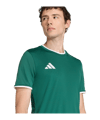 adidas Entrada 26 Trikot Grün - gruen