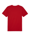 PUMA teamFINAL Trikot Rot F01 - rot