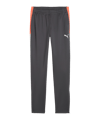 PUMA Individualliga Trainingshose Kids Grau F10 - grau