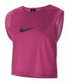 Nike Park 20 Markierungshemdchen Pink F616 - pink