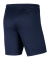Nike Park III Short Kids Blau F410 - blau