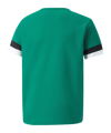PUMA teamRISE Trikot Kids Grün F05 - gruen