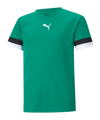 PUMA teamRISE Trikot Kids Grün F05 - gruen