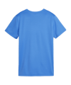 PUMA teamGOAL Trikot Damen Blau F02 - hellblau