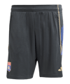 adidas Olympique Lyon Training Short Grau - grau