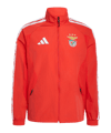 adidas Benfica Lissabon Anthem Jacke Rot - rot