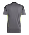 adidas Tiro 25 Competition Torwarttrikot Grau - grau