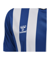 Hummel hmlCORE XK Striped Trikot Blau Weiss F7691 - blau
