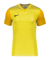 Nike Dri-FIT Trophy 5 Trikot Gelb F719 - gelb