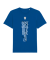 Nike NZSx11TS Slowenien SRCE BIJE T-Shirt EM 2024  Blau F463 - blau