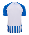 hummel 1. FC Magdeburg Trikot Home 2026/2027 Blau F7251 - blau
