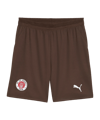 PUMA FC St. Pauli Short 2026/2027 Braun F01 