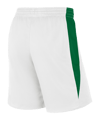 Nike Team Basketball Stock Short Weiss Grün F104 - weiss