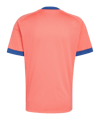 adidas DFB Deutschland Torwarttrikot kurzarm Away |  WM 2026 Orange - orange
