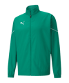 PUMA teamRISE Sideline Trainingsjacke Grün F05 - gruen