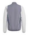 adidas Tiro 23 Competition Trainingsjacke Grau - grau