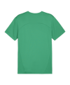 PUMA teamFINAL Trikot Grün F05 - gruen