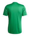 adidas Team Icon 25 Trikot Grün - gruen