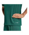 adidas Entrada 26 Trikot Kids Grün - gruen