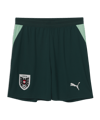 PUMA ÖFB Österreich Short Away WM 2026 Grün F04 - gruen
