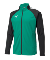 PUMA teamLIGA Trainingsjacke Grün Schwarz F05 - gruen