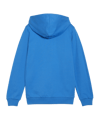 PUMA teamGOAL Casuals Kapuzenjacke Kids Blau F02 - blau
