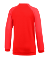 Nike Academy Pro Trainingsjacke | Rot Weiss F657 - rot