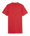 PUMA teamGLORY Trikot Damen Rot Weiss Rot F01 - rot