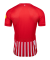 Nike SC Freiburg Trikot Home 2026/2027 Rot F657 - rot