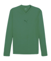 PUMA teamGOAL Baselayer Longsleeve Grün F05 