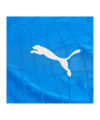 PUMA teamFINAL26 Knit Trikot Blau F02 - blau