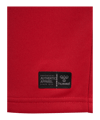 hummel DBU Dänemark Trikot Home 2026 Kids Rot F3365 - rot