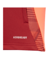 adidas Tiro 24 Competition Trainingsjacke Kids | Rot - rot
