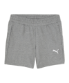 PUMA teamGOAL Casuals Shorts Damen Grau F33 - grau