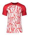 Nike Dry NE GX1 Trikot Rot Weiss F657 - rot