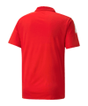 PUMA teamLIGA Sideline Polo Rot Weiss F01 - rot