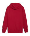 PUMA Switzerland FtblCulture Hoody Rot F02 - rot