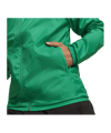 PUMA teamGOAL Allwetterjacke Grün Weiss F05 - gruen