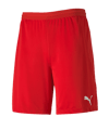 PUMA teamFINAL 21 Knit Short Rot F01 - rot