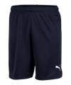 PUMA Vienna Short Away 2022/2023 Kids Blau F04 - blau
