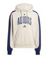 adidas Hamburger SV Kitt Hoody Grau - grau
