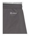 adidas Entrada 22 Short | Grau - grau