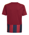 adidas Striped 24 Trikot Kids Blau - blau